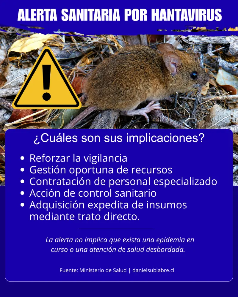 Infografía educativa sobre la alerta sanitaria por Hantavirus en Chile, detallando los síntomas de contagio del ratón colilarga y las medidas de prevención rural.