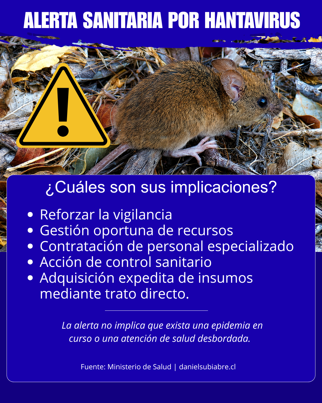 Alerta sanitaria por Hantavirus: Guía de Prevención e Infografía